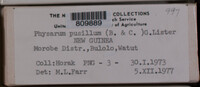 Image Associated With the Occurence